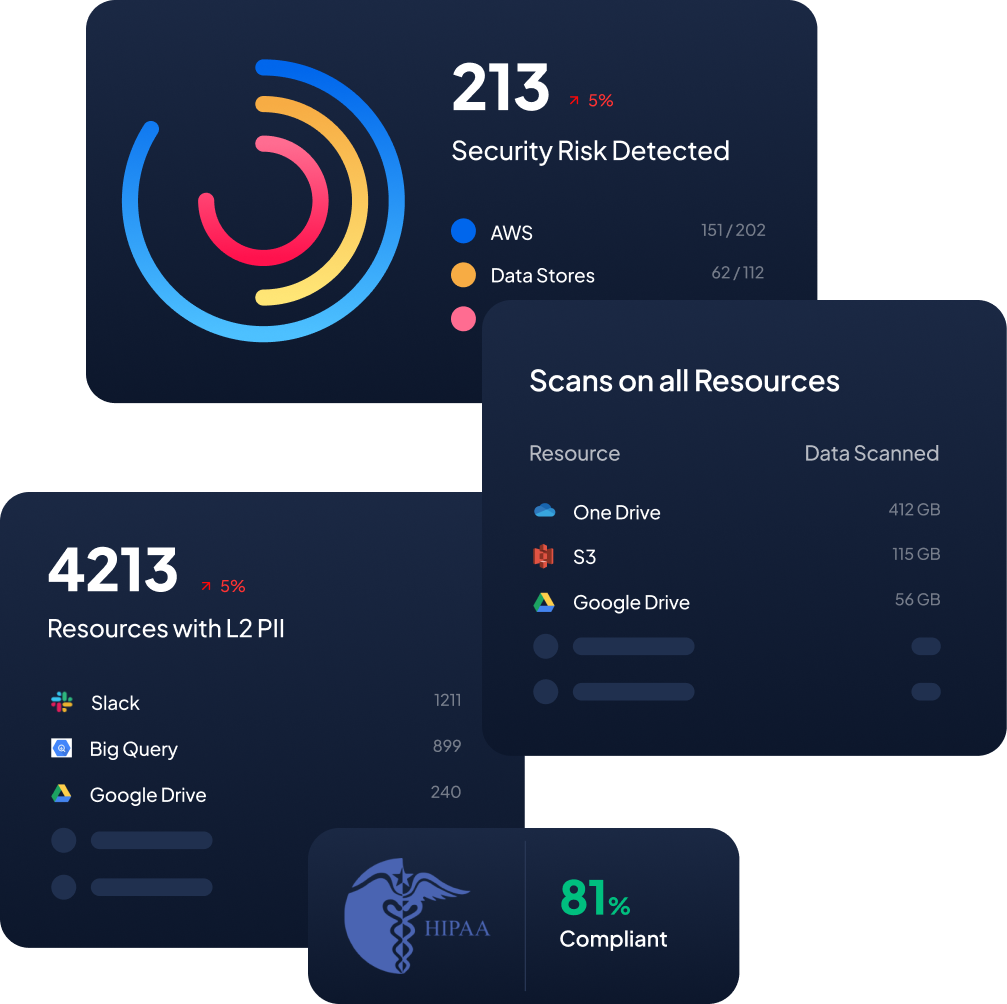 borneo-data-security-platform