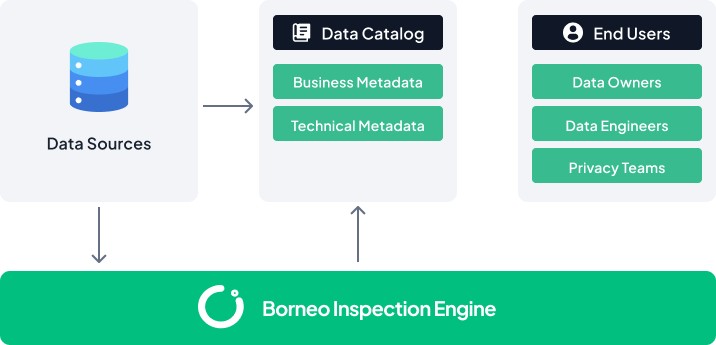 borneo-inspection-engine